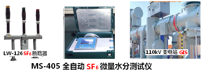 全自动SF6微量水分测试仪